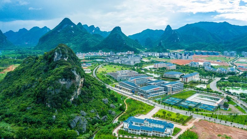 上海进口二极管批发市场：揭秘其背后的供应链与趋势**
